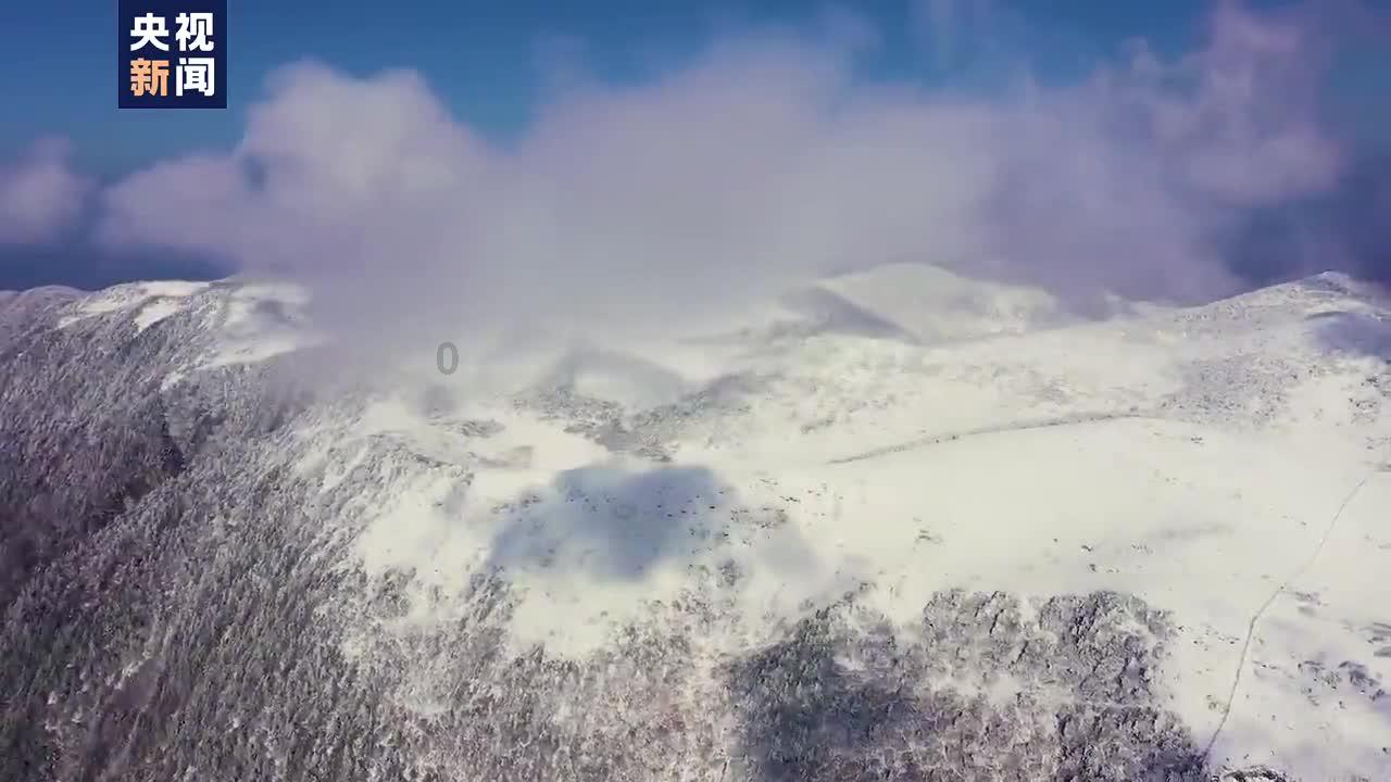 彩块跑酷